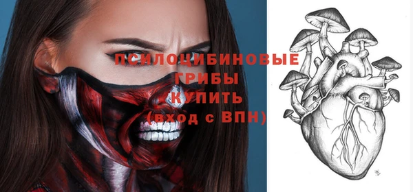 прущий лед Гвардейск