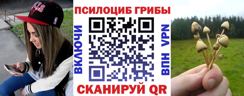 Галлюциногенные грибы Psilocybine cubensis дарк нет официальный сайт Камень-на-Оби